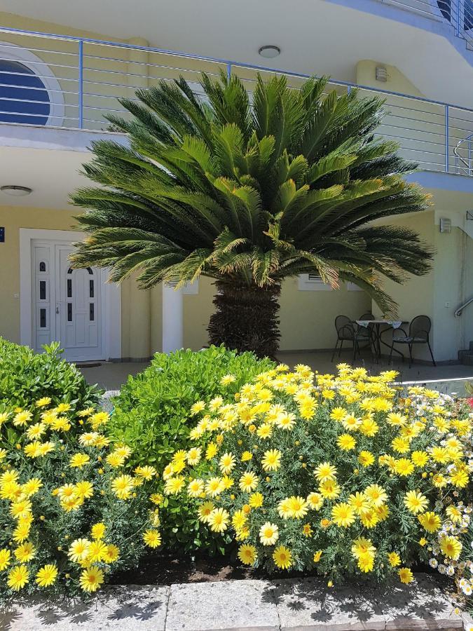 Villa Maestral Zadar Buitenkant foto