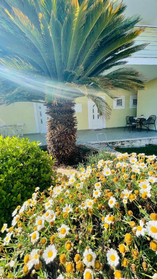 Villa Maestral Zadar Buitenkant foto